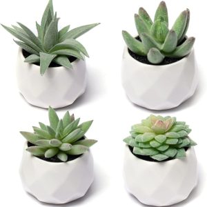 Fake Succulent Plant Set - Artificial Plants for Women Desk - Realistic Faux Succulents in Ceramic Pots - Mini Green Decor for Bedroom Bathroom Office Shelf 4 Pack