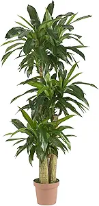 Artificial Corn Stalk Dracaena Plant, Tall Fake Plant for Indoor Home Décor, Real Touch Faux Plant