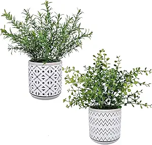 Small Potted Eucalyptus Plant Artificial Plants Green Boxwood Rosemary Greenery in Modern Concrete Plant Pots